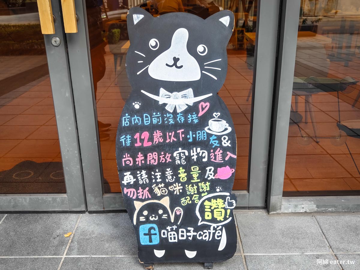 喵日子café｜多隻親人貓咪陪喝咖啡，免費WiFi和插座，中路咖啡，貓咪咖啡推薦，桃園市政府咖啡