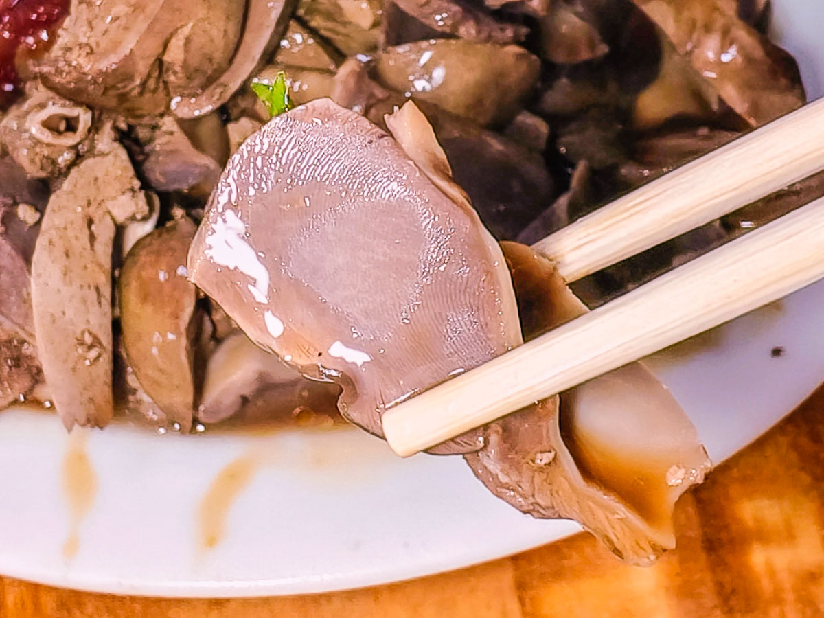 永樂街鴨肉麵｜桃園大廟後方隱藏版在地老店，鴨肉鮮嫩湯頭爆香，永樂街小吃推薦，桃園鴨肉麵推薦，大廟後美食